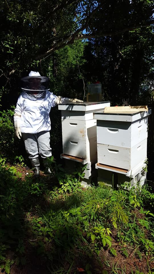 Cape Carteret applies to become a ‘Bee City’